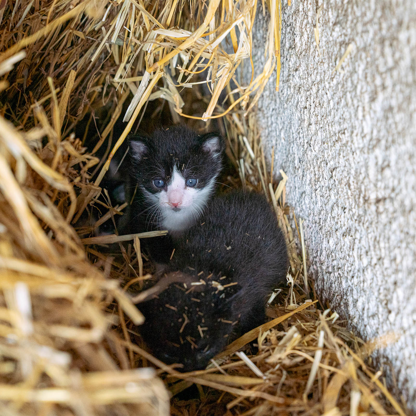 Società Agricola Berti — foto 5